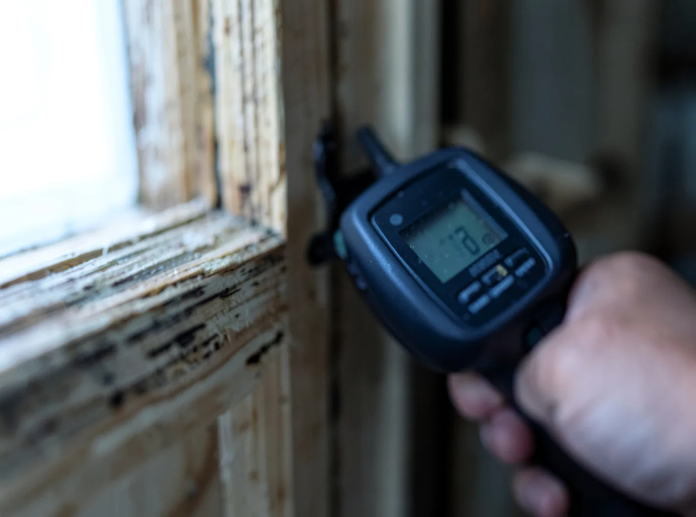 Moisture Inspection And Documentation in Welton, IA